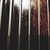 Fretless Guy